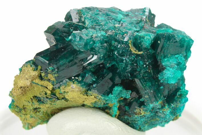 Lustrous Dioptase Crystal Cluster - Republic of the Congo #272929